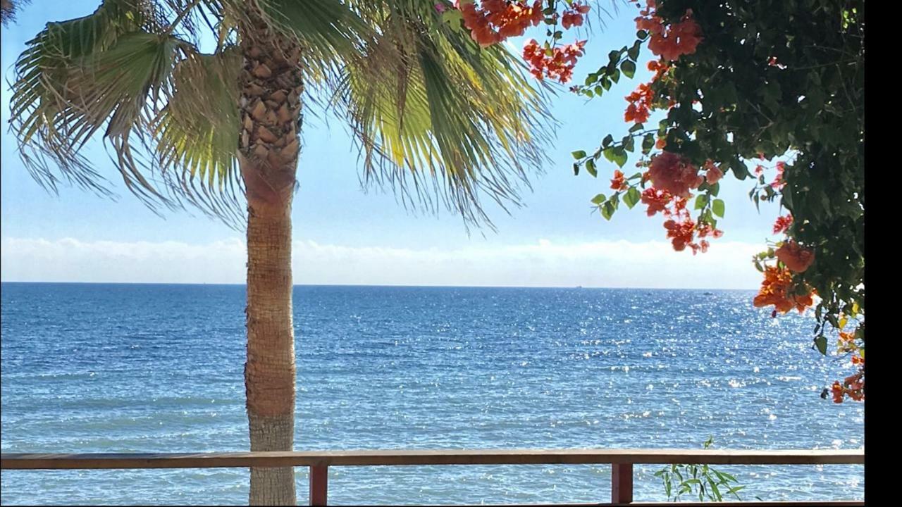 Mi Capricho Beachfront- 9D Apartment With Sea Views - Costa Del Sol ラ・カラ・デ・ミハス エクステリア 写真
